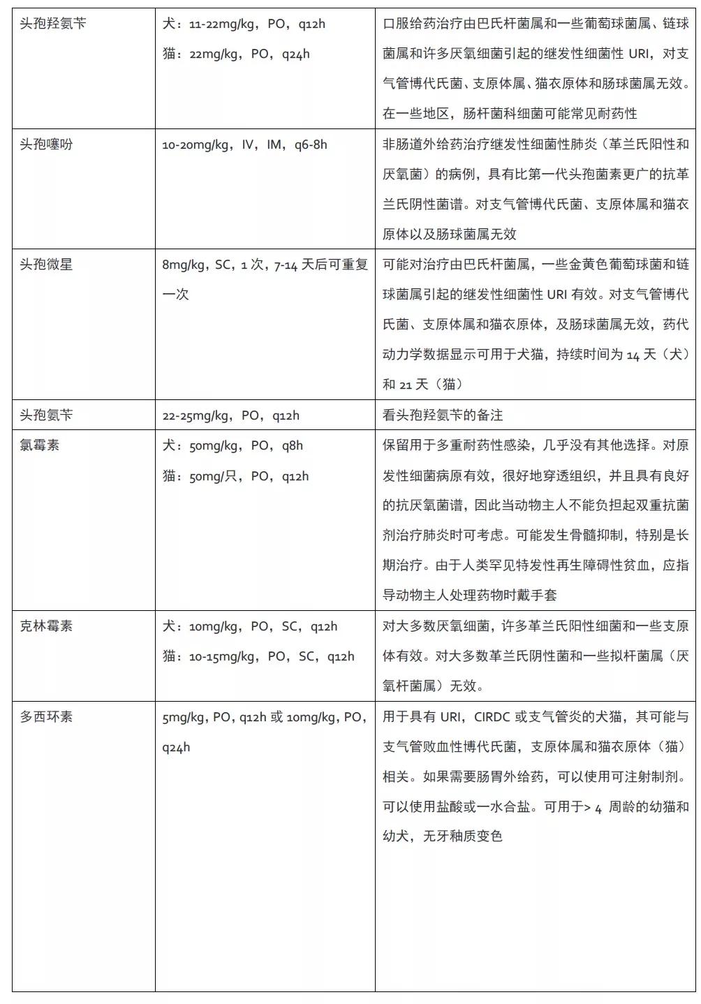 犬猫怎么用抗生素,治疗猫犬的药和针剂