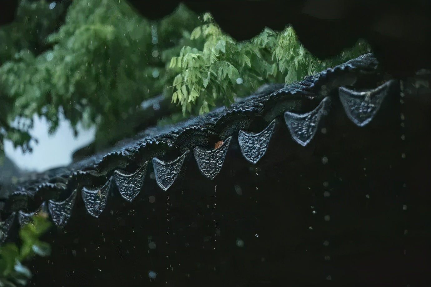 雨带给人的感受,雨给人带来难以捉摸的感伤