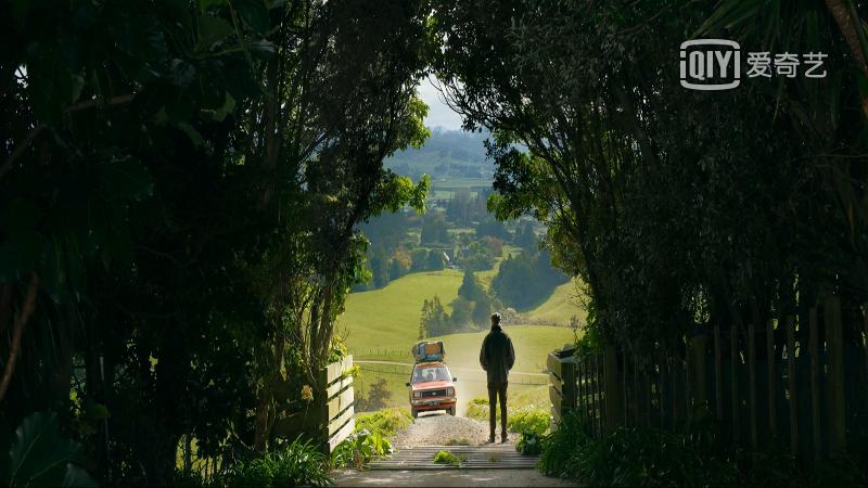 9部日本治愈系纯爱电影推荐,一部让你感动落泪的纯爱电影