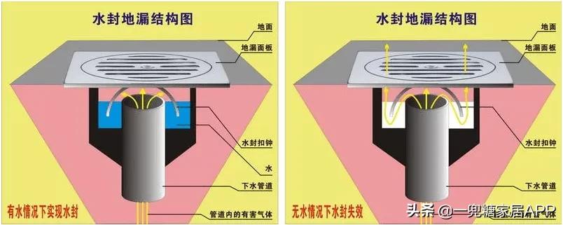你家厕所≈生化房？做好这四点，远离异味细菌小飞虫