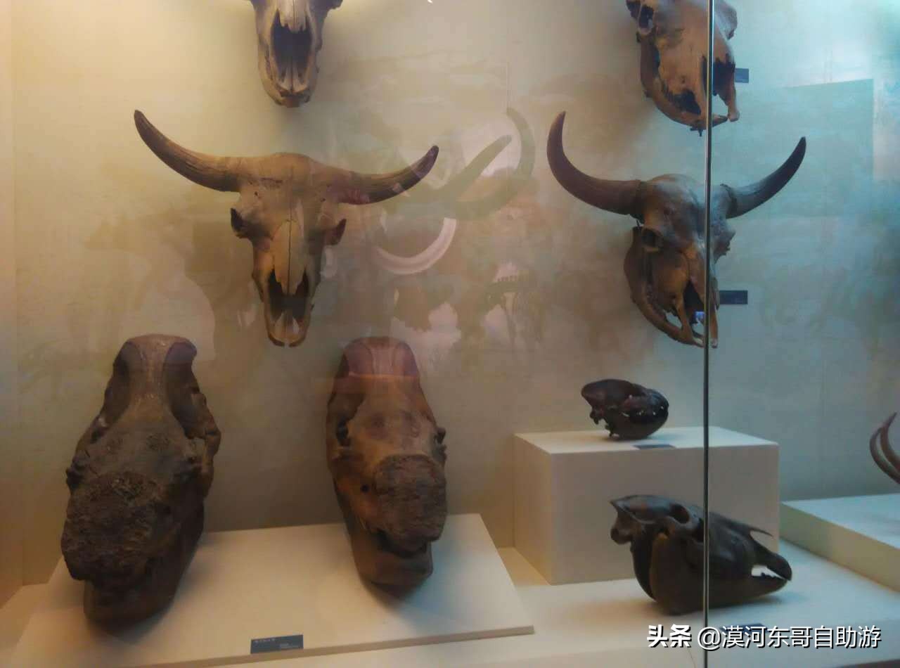 呼伦贝尔满洲里景区,呼伦贝尔旅游景点大全介绍