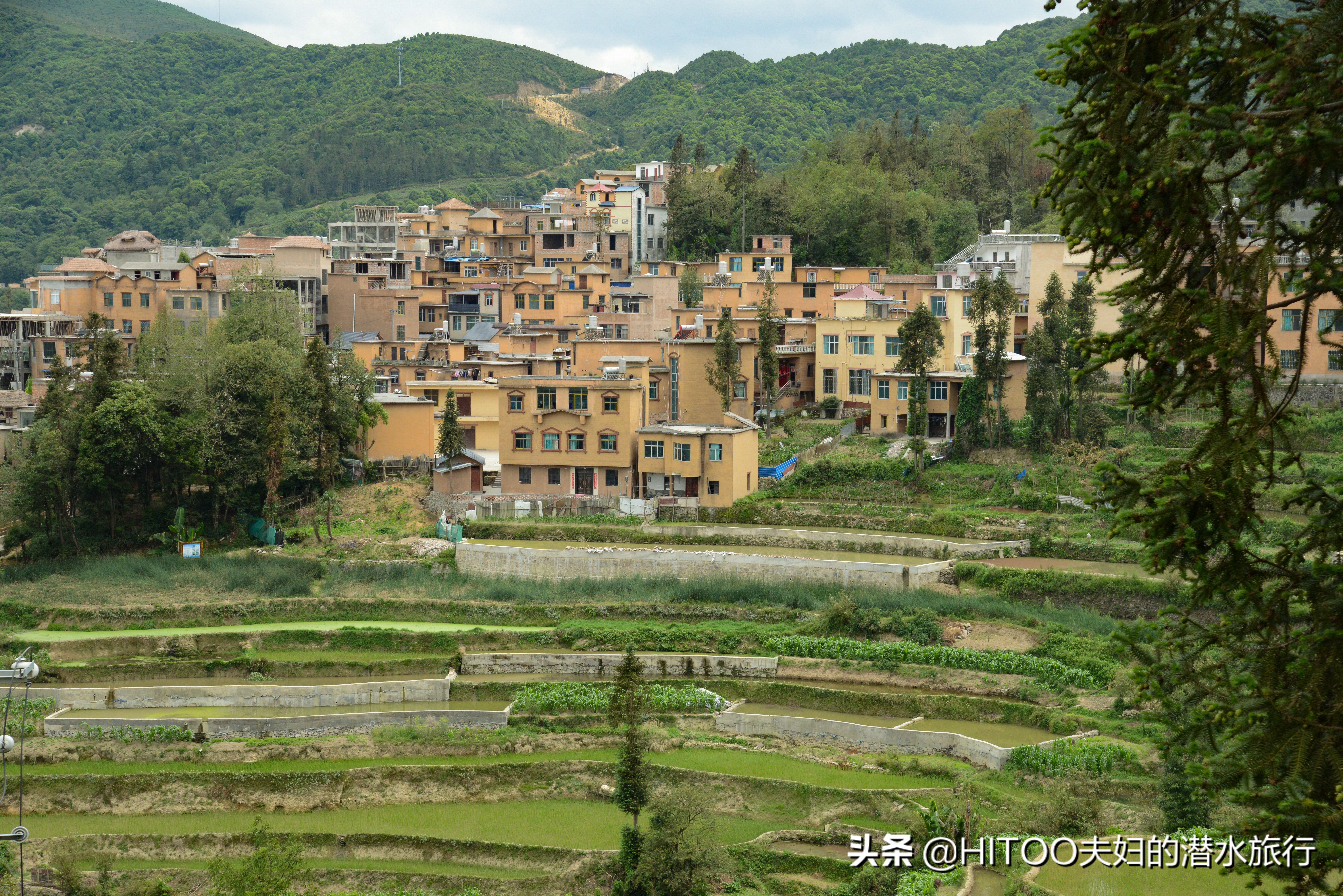 自驾元阳梯田旅游攻略时间,元阳梯田自驾游玩攻略路线