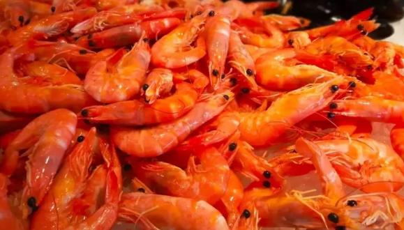 收藏广州24家顶级茶楼必点招牌菜,收藏高档餐厅