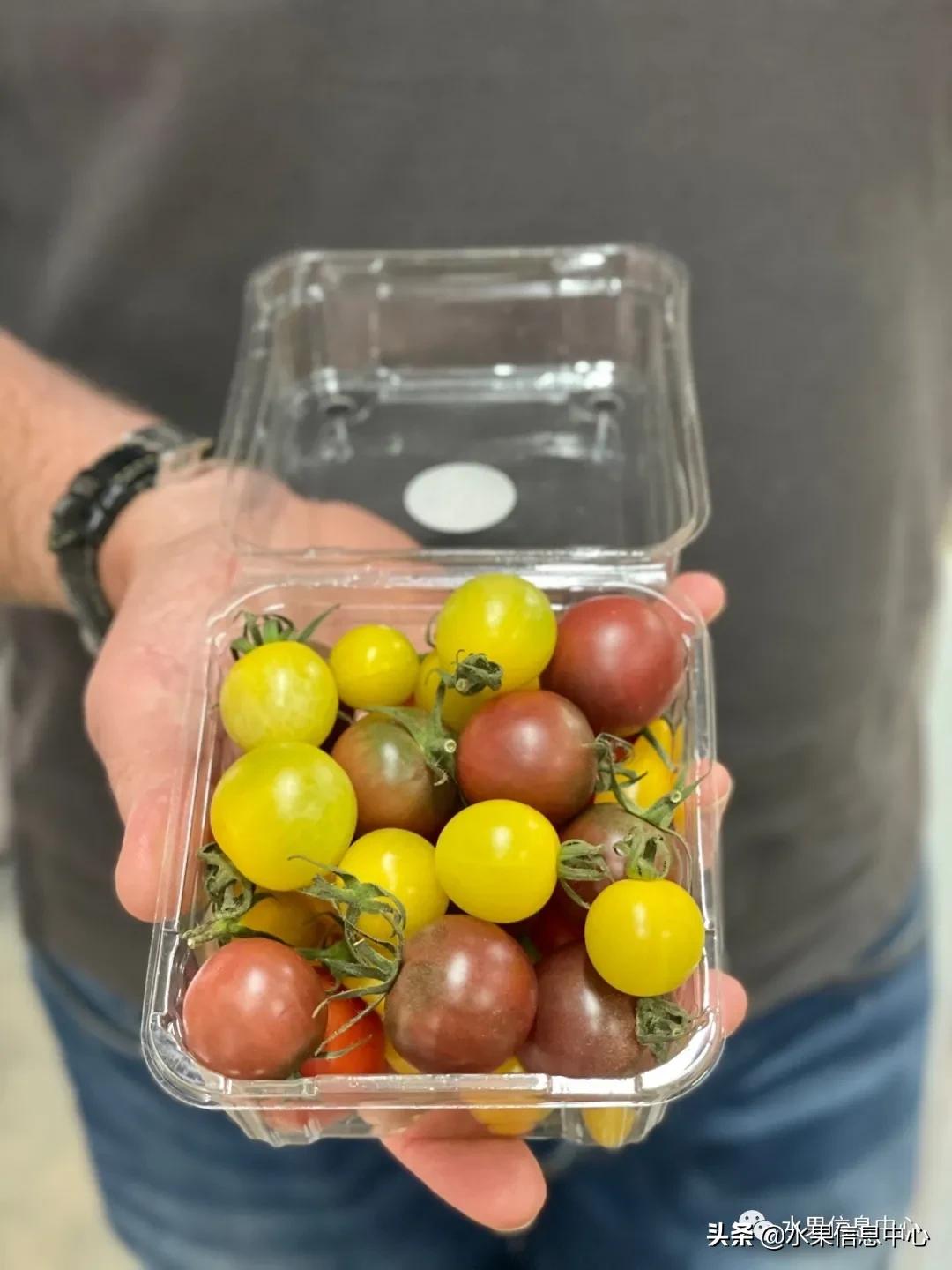 最近卖的比较火的水果店,最近新出来的水果店