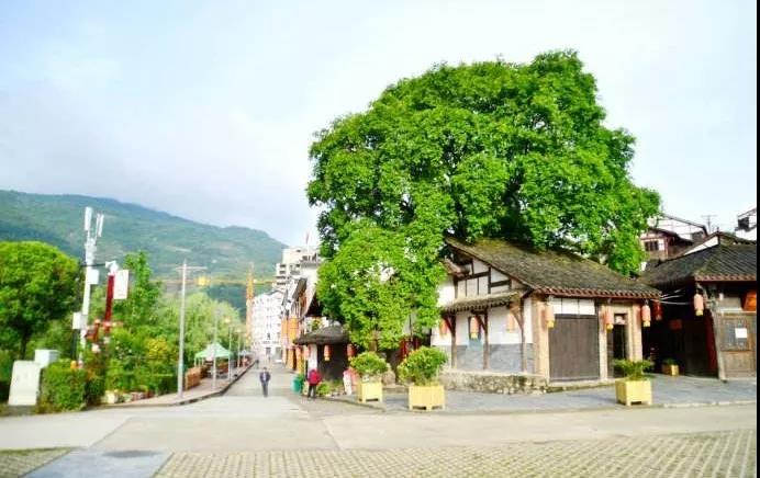 后柳水乡和汉江三峡是一个地方吗,汉江后柳古镇