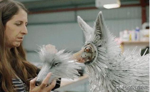 竟然不是特效！25000个晶体制成水晶狐狸，转头的那一刻，惊艳了