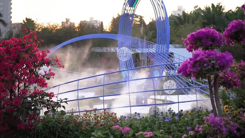 深圳花海公园地址在哪里,深圳中心河公园花海