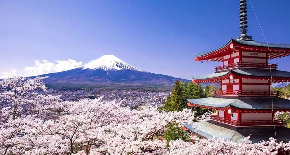 樱花前线2022年,2022第一场樱花