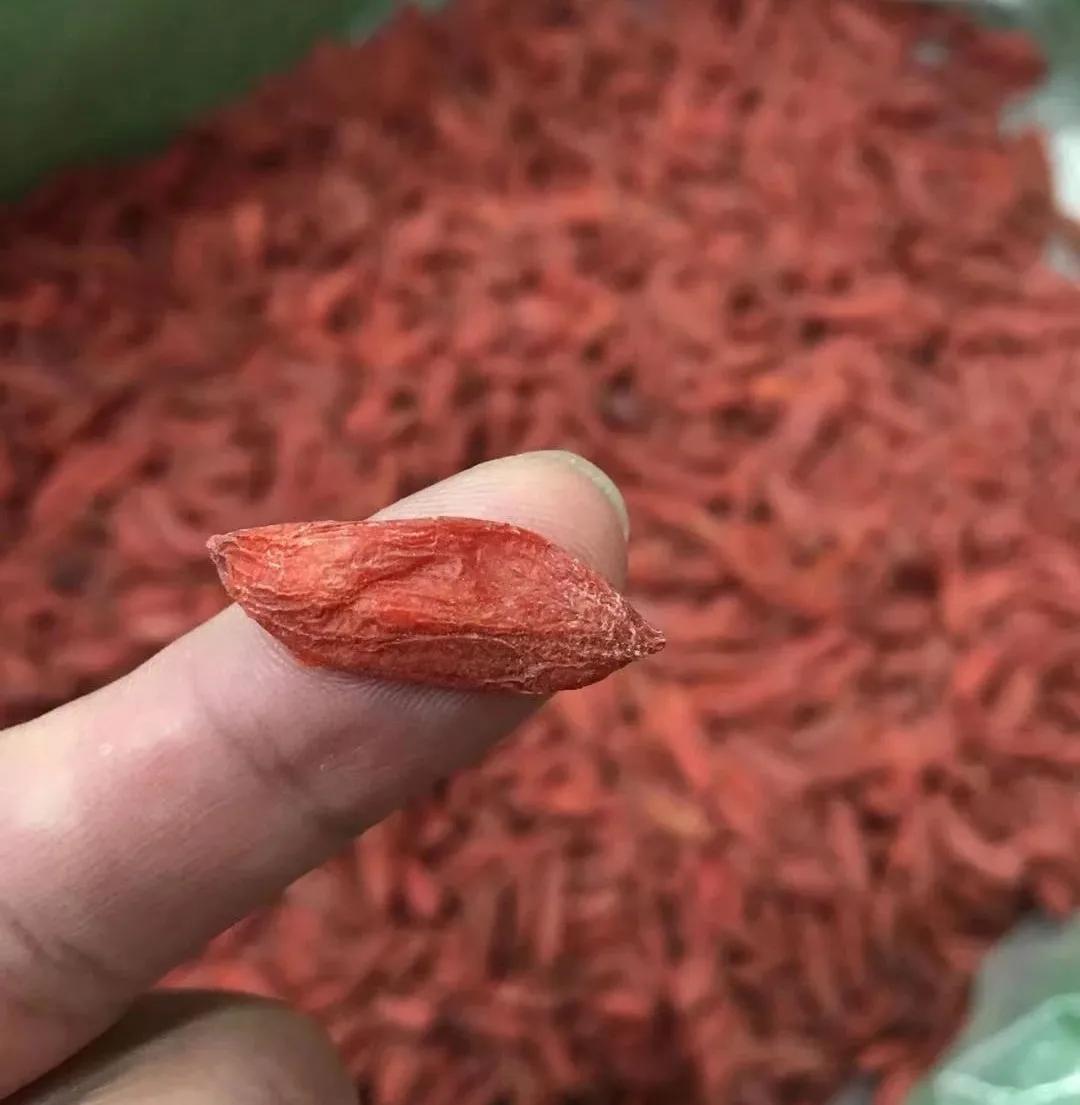 每个地方的特产在哪买,每个地方的特产产品