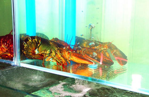 终于让我扒出潍坊尝玖海鲜超市不为人知的秘密！