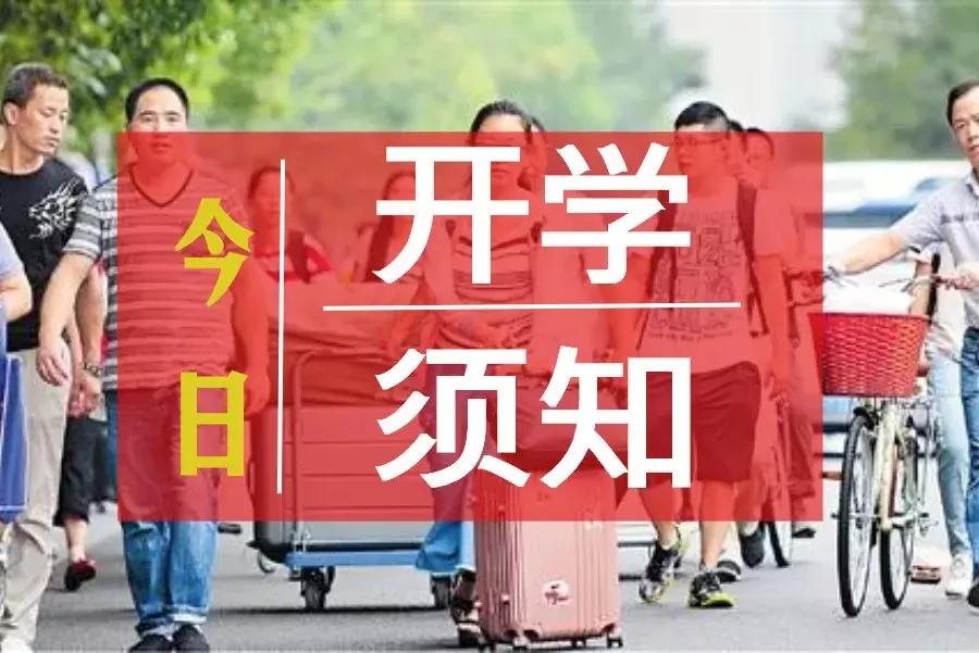 大学生报到必备清单,大学生报到应该带点啥