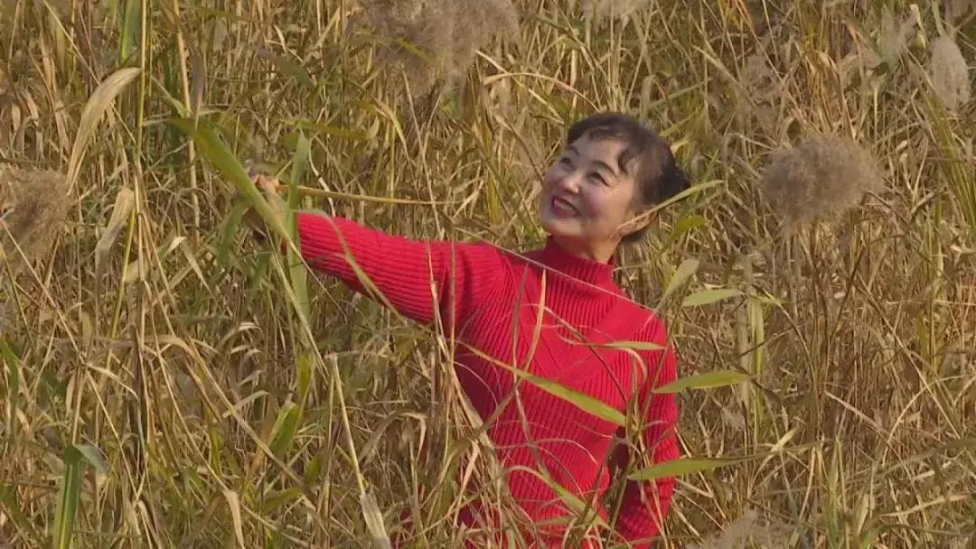 乐游江夏燃动青春,乐游江滩巅峰对决