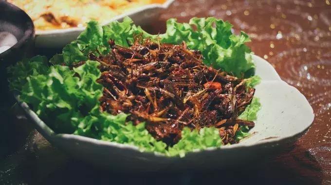 一个好吃的地方排行榜,一个好吃不贵的地方