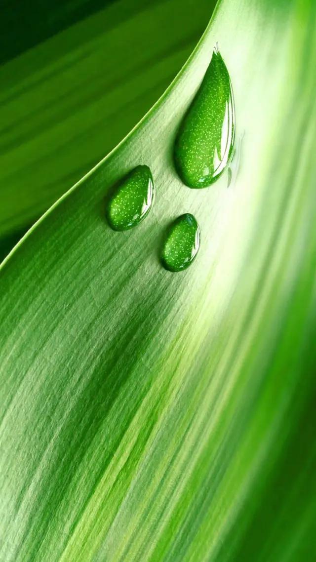 白岩松经典语录昨天比今天好 (白岩松经典语录最难的事终会过去)