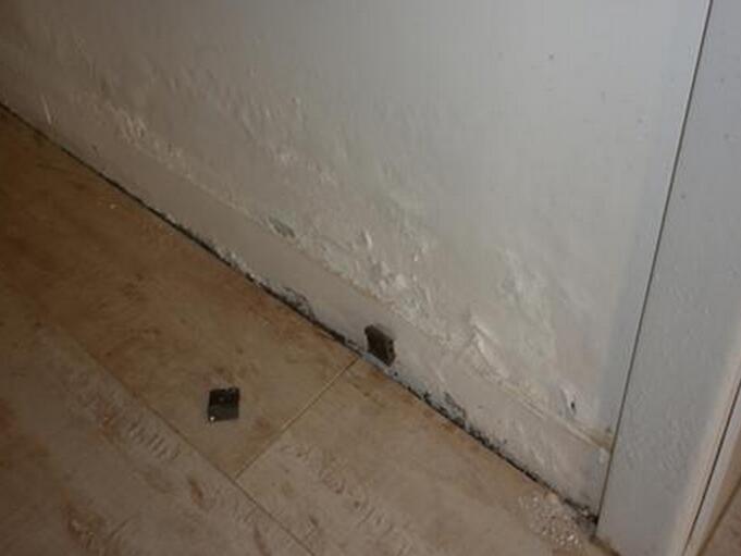 南方冬天防潮最佳方法,南方天气防潮的方法