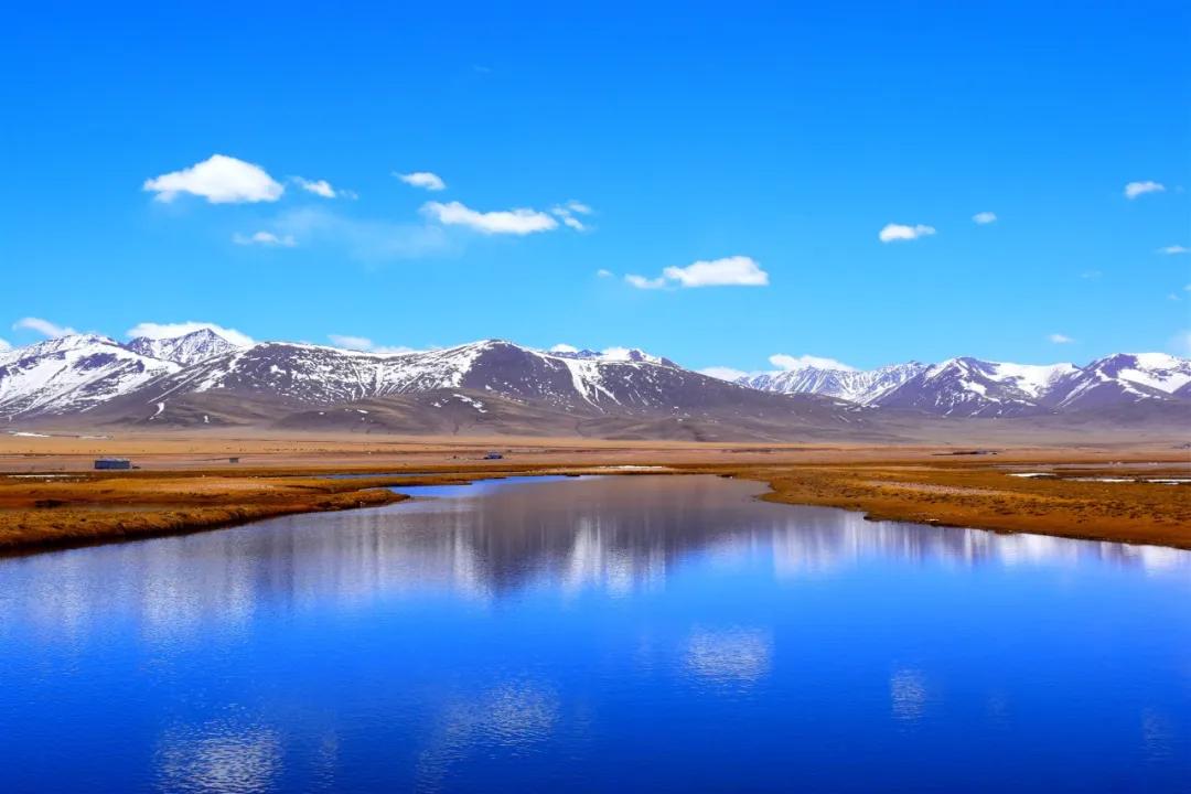 12篇微小说短到极致却催人泪下,十二篇微小说完整版