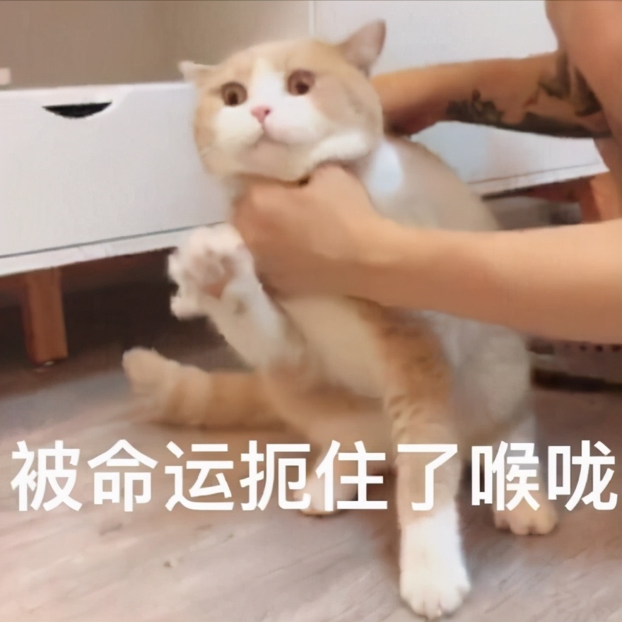 夏季内衣干货怎么选购的,内衣怎么挑轻便舒适点好