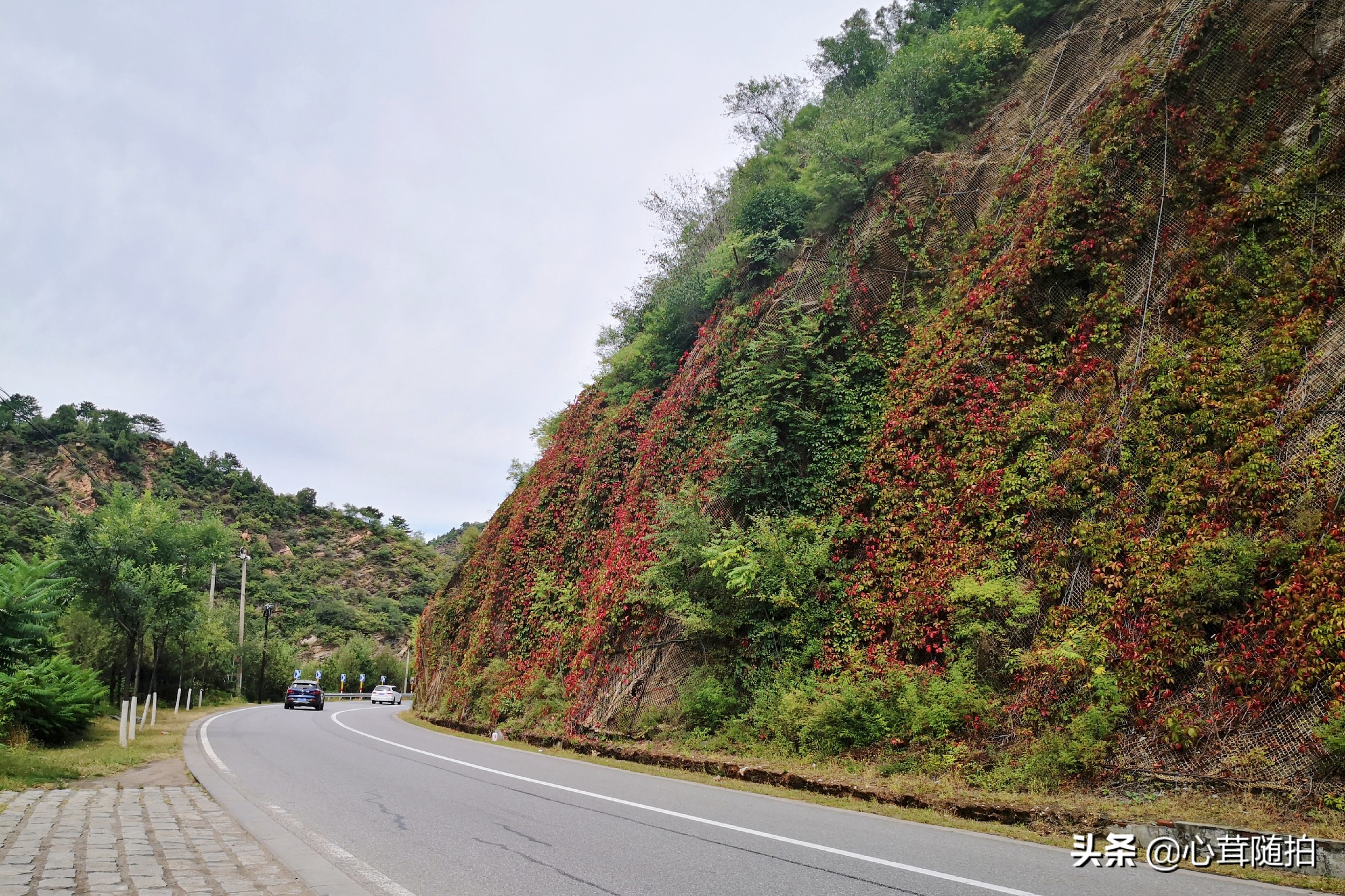 自驾白河湾,白河湾自然风景区自驾