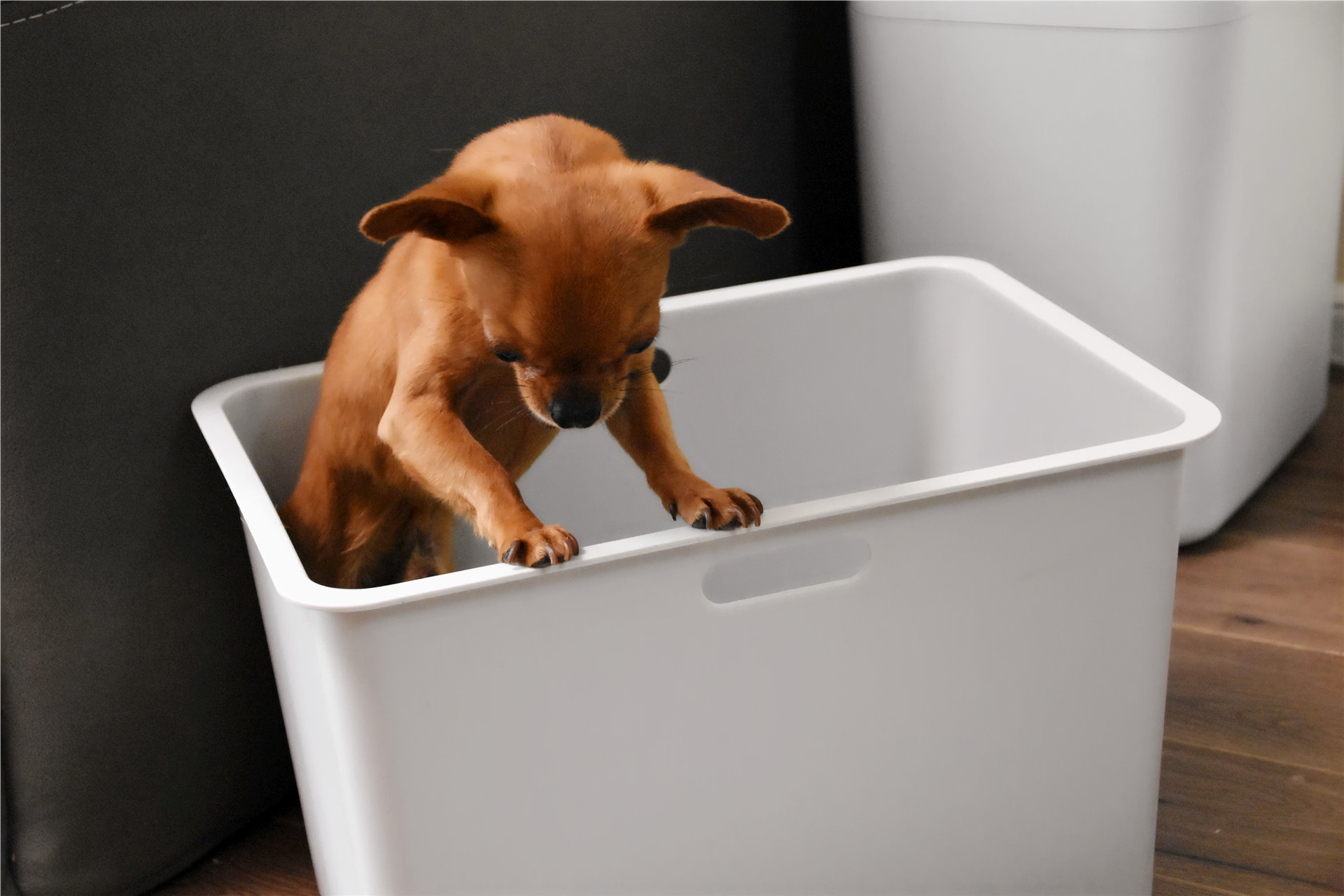 小米有品上线收纳神器,大容量,自由叠加