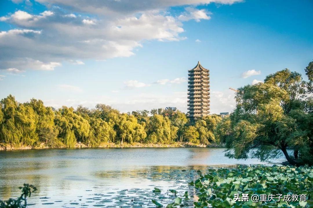 中国最具特色的二十所高校,中国高校前二十名大学