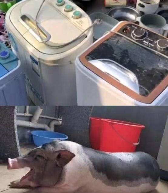 大学生宿舍查违禁品,大学宿舍违禁物品被发现