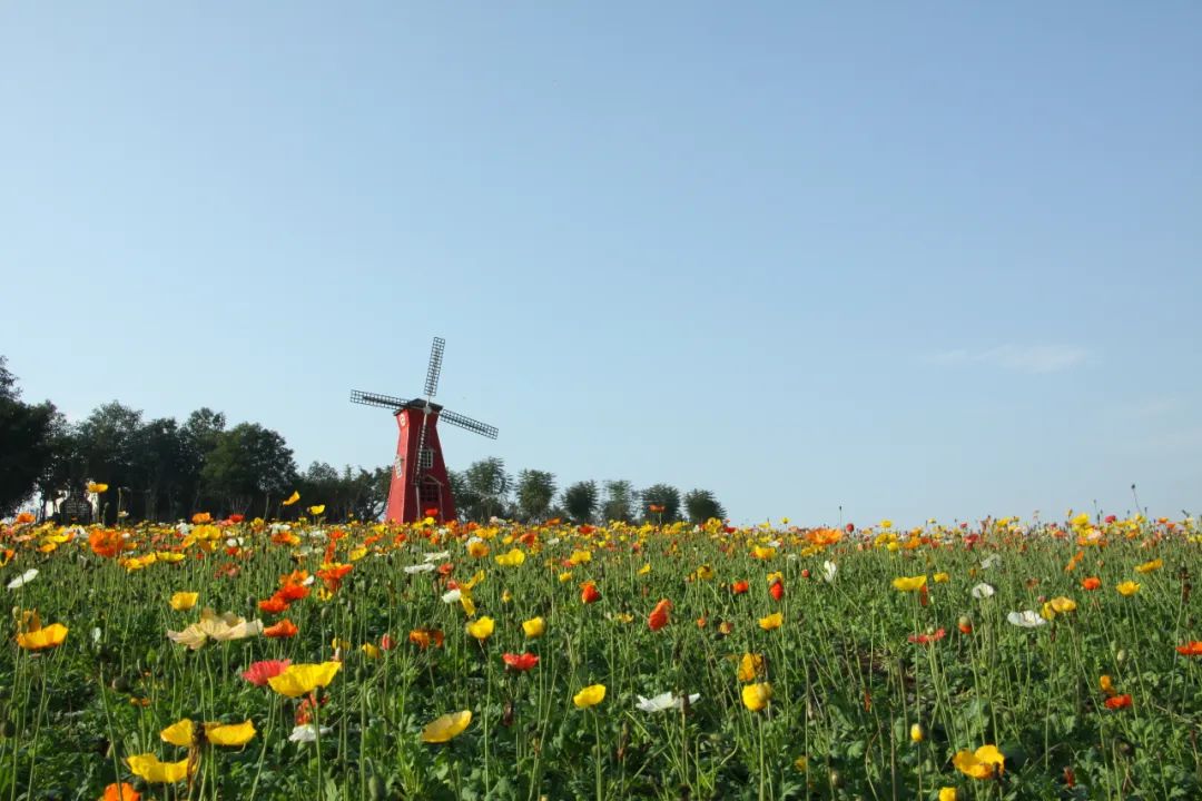 精品旅游线路乡村游亲子游,2020年全国精品乡村旅游路线