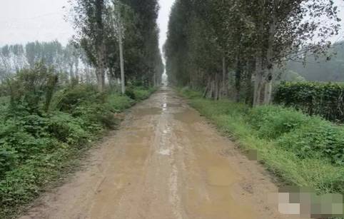 江津两车相撞,江津区发生一起三车相撞事故