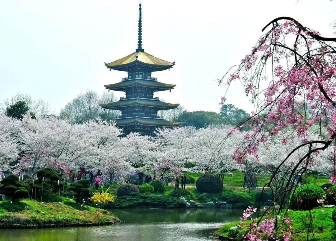 涔濆ぉ璇楄瘝绗崄鍏湡,涔濆ぉ璇楄瘝绗簩鍗佹湡