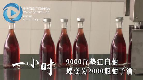 100秒看重庆夜景,100秒看丰都