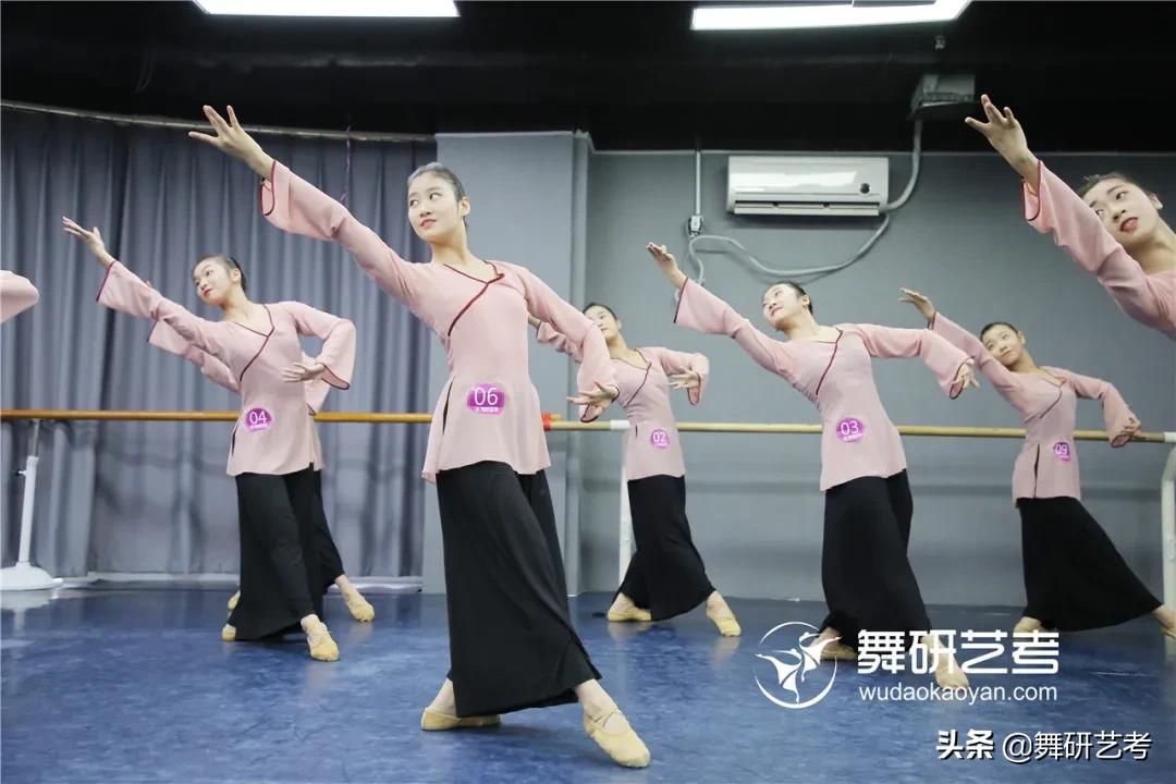 舞蹈入门20个基本动作名字,舞蹈新手应该学会的舞蹈