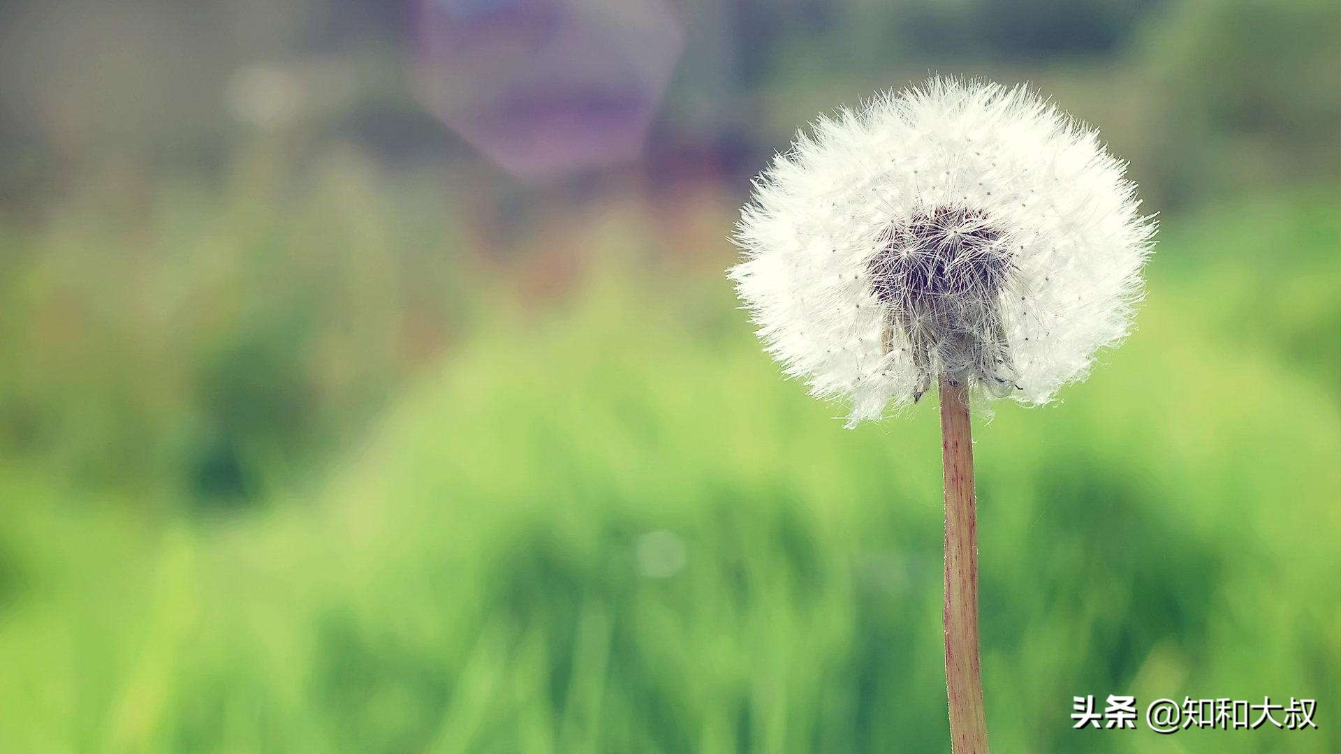 不哭不闹，一个女人伤透了心，反而会是这样