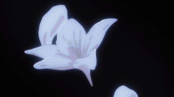 金闪闪宝具全开,金闪闪宝具介绍