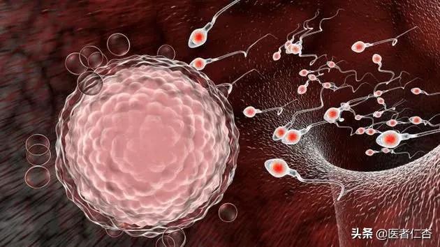 精子中有新冠病毒吗,精子含有新冠病毒吗