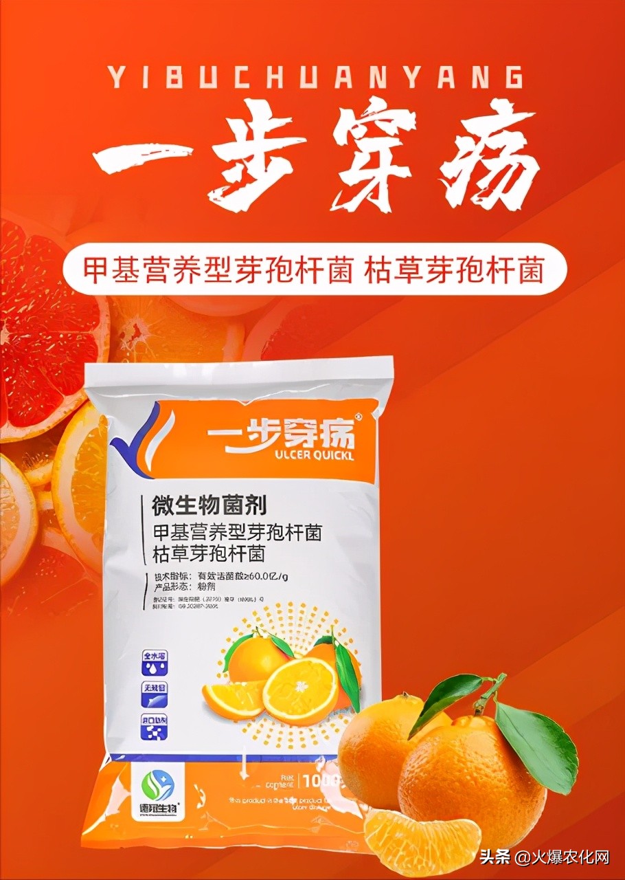 全面替代铜制剂！新一代“击溃爆品”！不伤花果！防治率高达96%