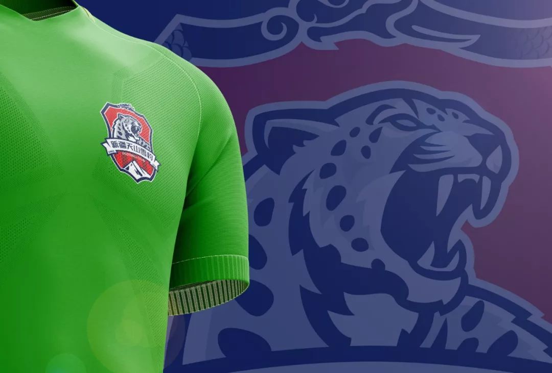 新疆天山雪豹队logo,天山雪豹足球俱乐部中甲