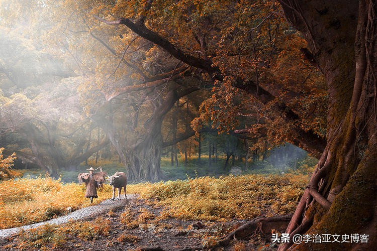 伤心又无奈的文案,有一种心酸叫无奈