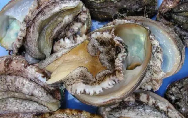 海鲜什么部位能吃什么不能吃讲解,各类海鲜哪个部位不能吃