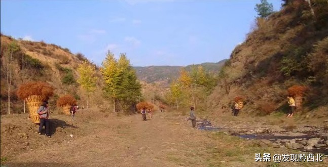 奥杰阿格《水西谣》与黄宅中《水西谣十八首》，神秘水西