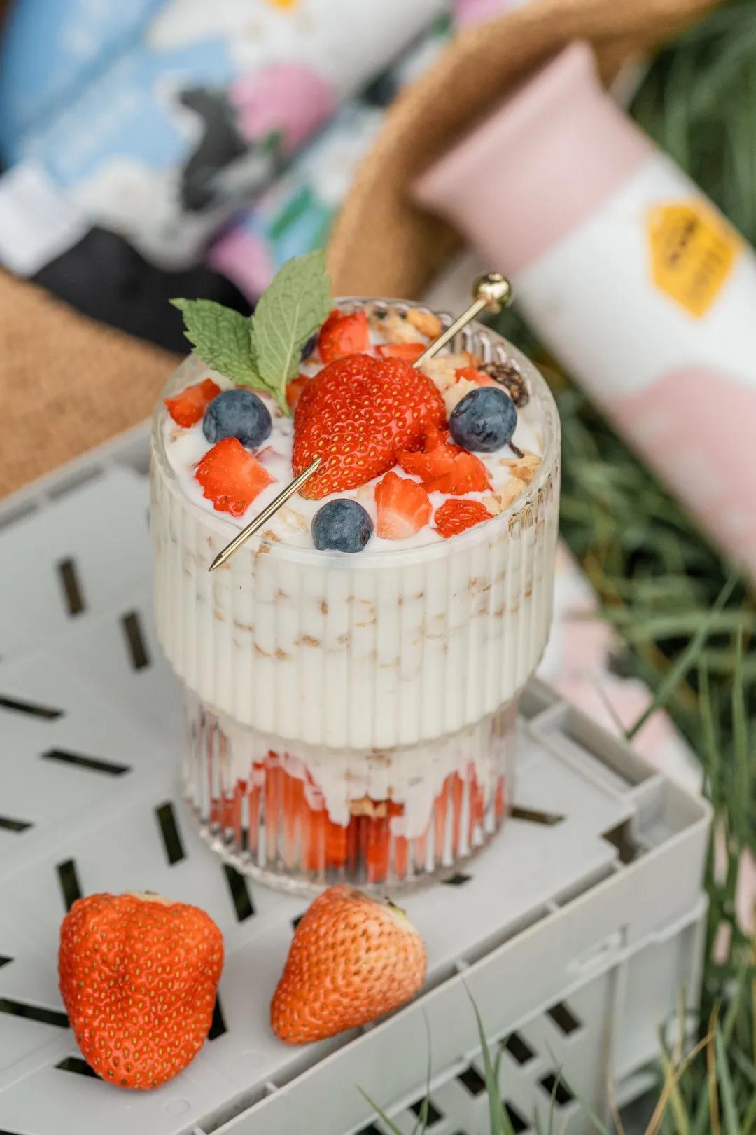 千万网红推荐的牛奶真的好喝吗,网红最好喝的纯牛奶