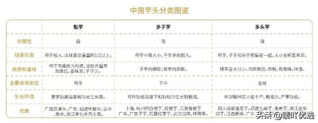 奉化芋头好吃还是荔浦芋头好吃,中国哪个地方的芋头最好吃