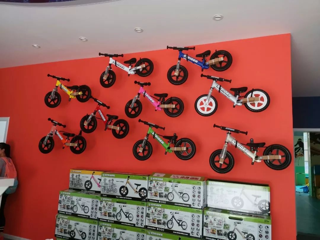 实体店最贵的平衡车 (实体店的平衡车好吗)