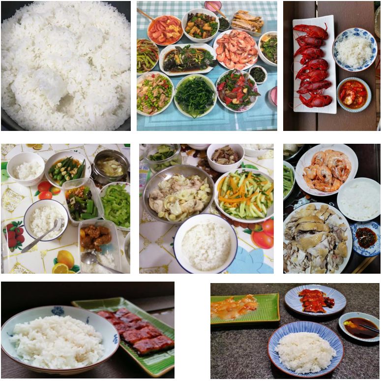 大米测评哪个最有营养,真正好吃又健康的大米