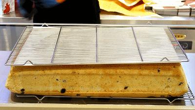 “奶蛋团”DuangDuang驾到！世纪都会新店开业，第②个不要钱