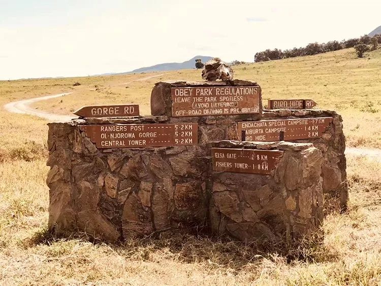 「东郊」5万人民币能干嘛？而我却能带你周游世界！