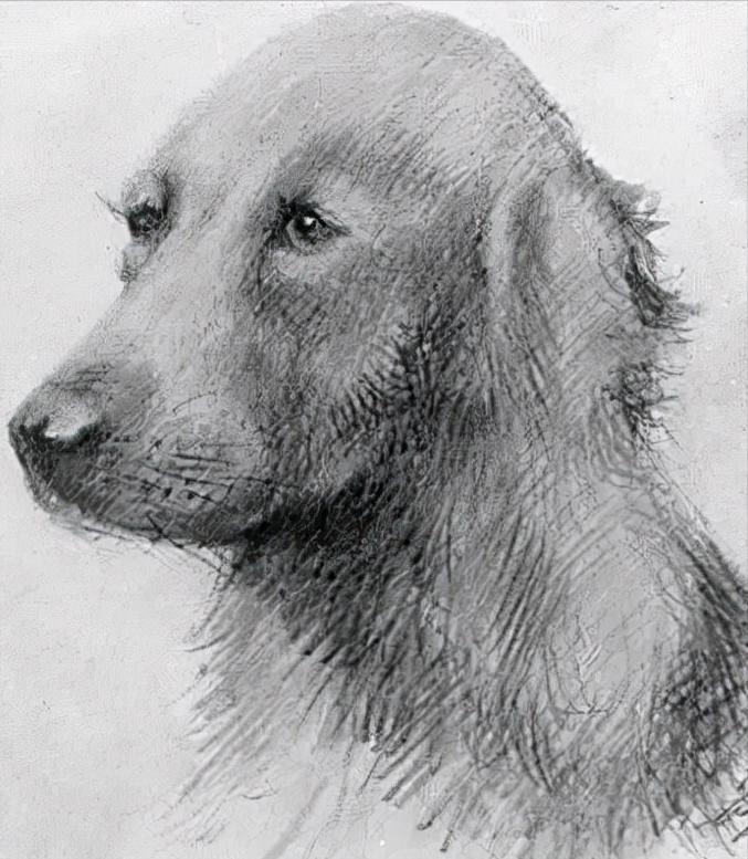 赫本梦露最新照片,梦露赫本惊艳的照片