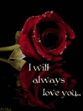 520情人节祝福送上真的太美了,最新的520情人节