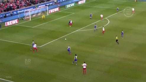 德国国脚罗宾科赫,德国国脚中卫科赫