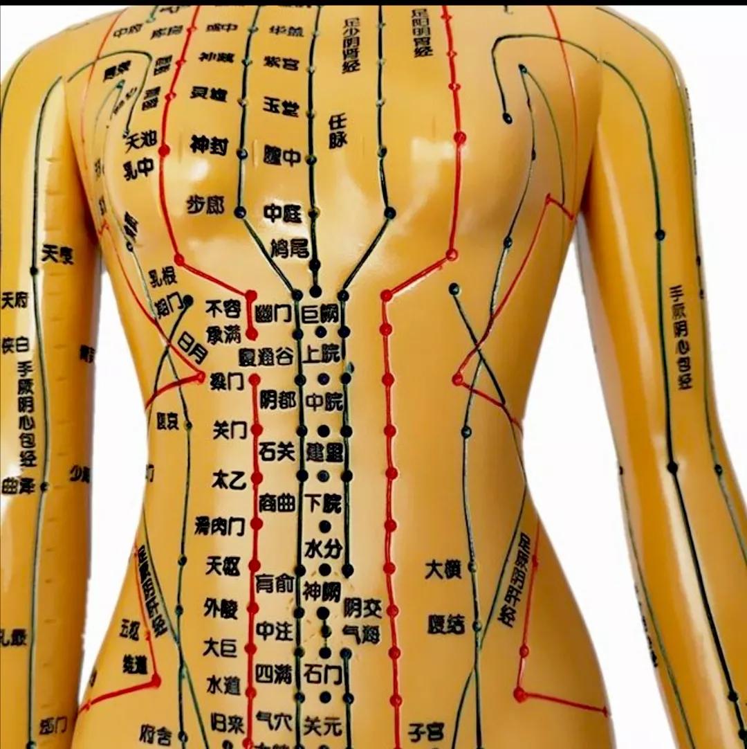 太极练功札记5,太极拳修行日志6式