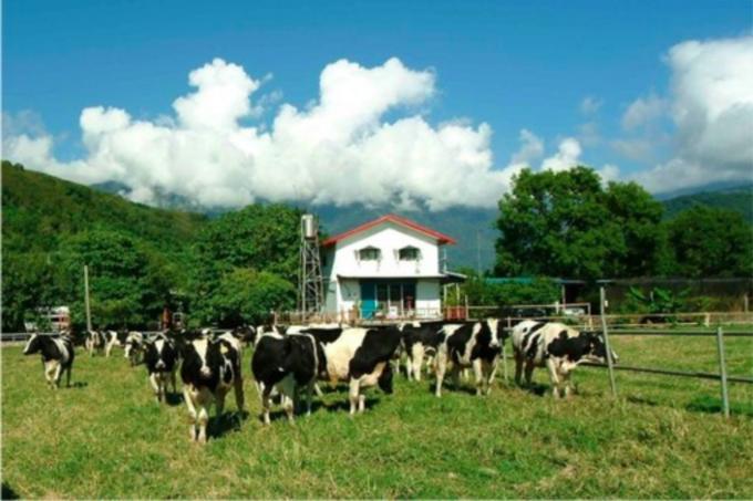 台湾自行车环岛游攻略,台湾环岛八日游最佳路线