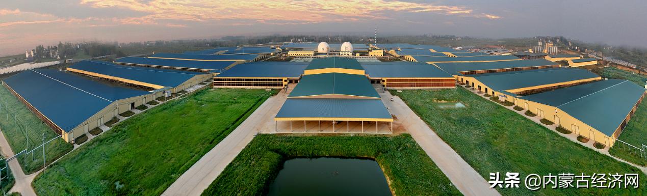 蒙牛乳业发展前景,乳业巨头再现负增长蒙牛如何再造